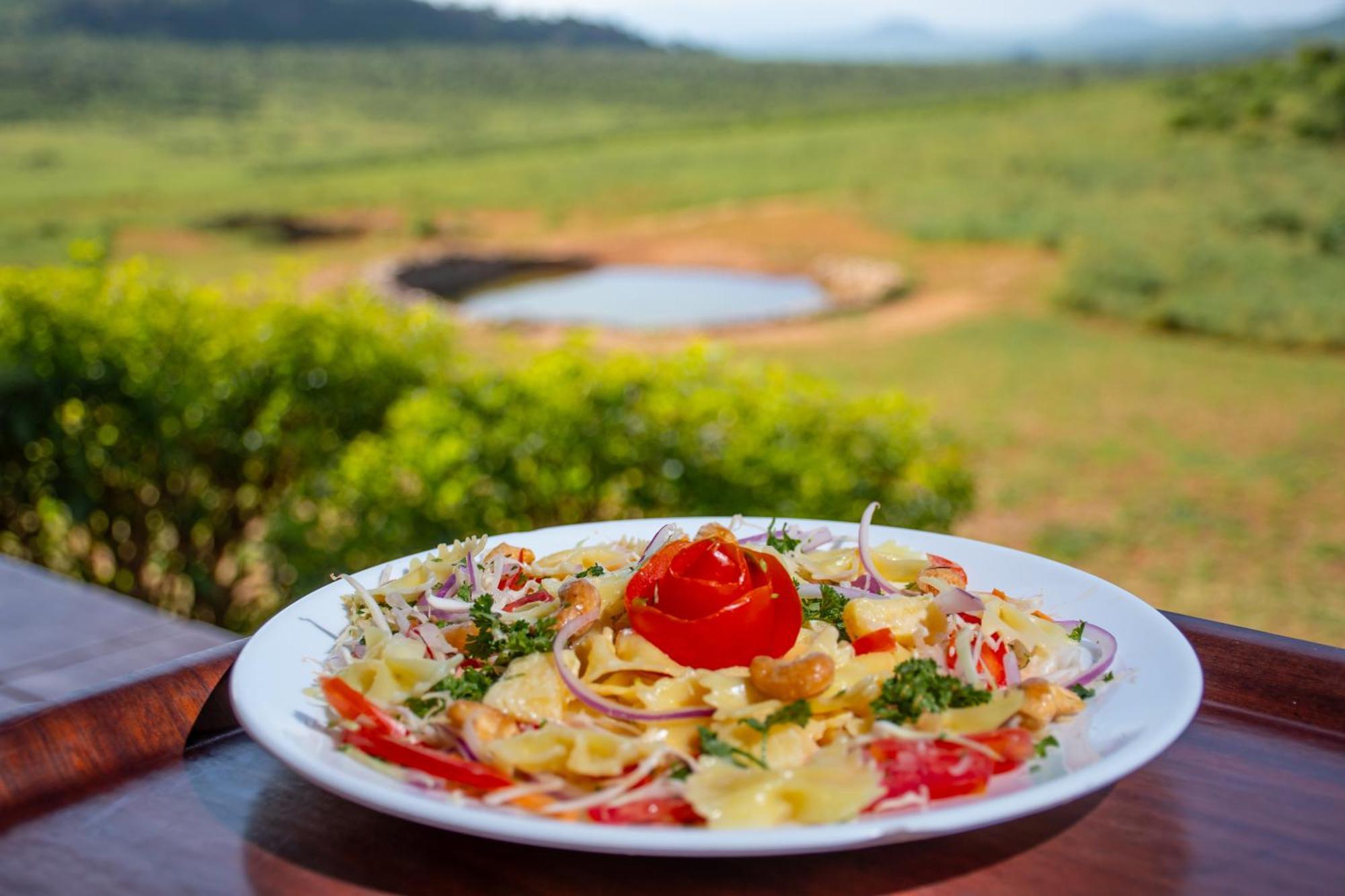 Ithumba Ngulia Safari Lodge מראה חיצוני תמונה